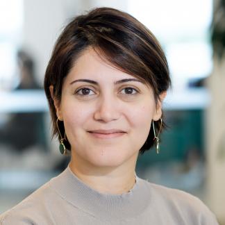 Elnaz Sarkheyli